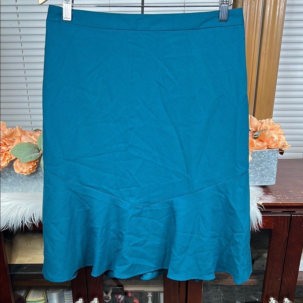NWT Banana Republic Factory Skirt Size 6 - Picture 1 of 4